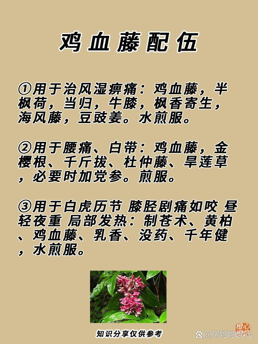 第37期61每天认识一味中药材——鸡血藤