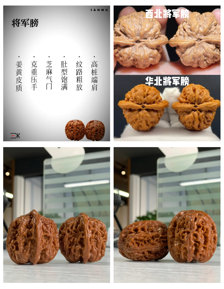 西北将军膀核桃和华北将军膀核桃哪个更好？