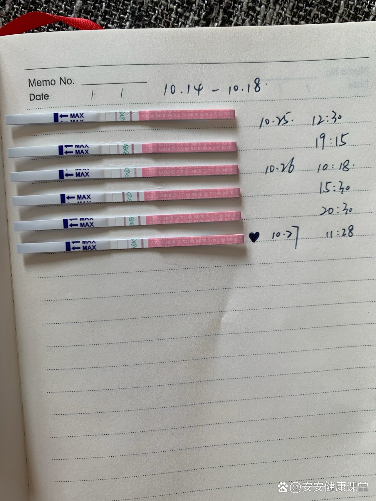 强阳排卵!