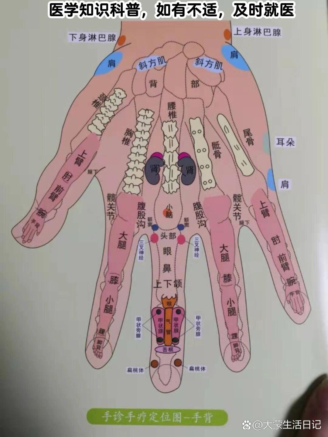 p 手诊手部穴位对照图 br 大家可以按照图中所示