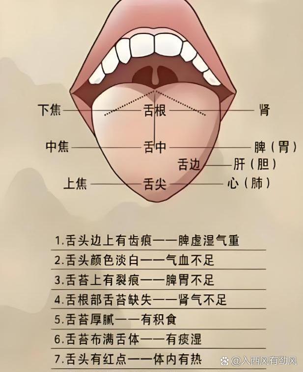 舌诊挑战——今天看完88个舌象！
