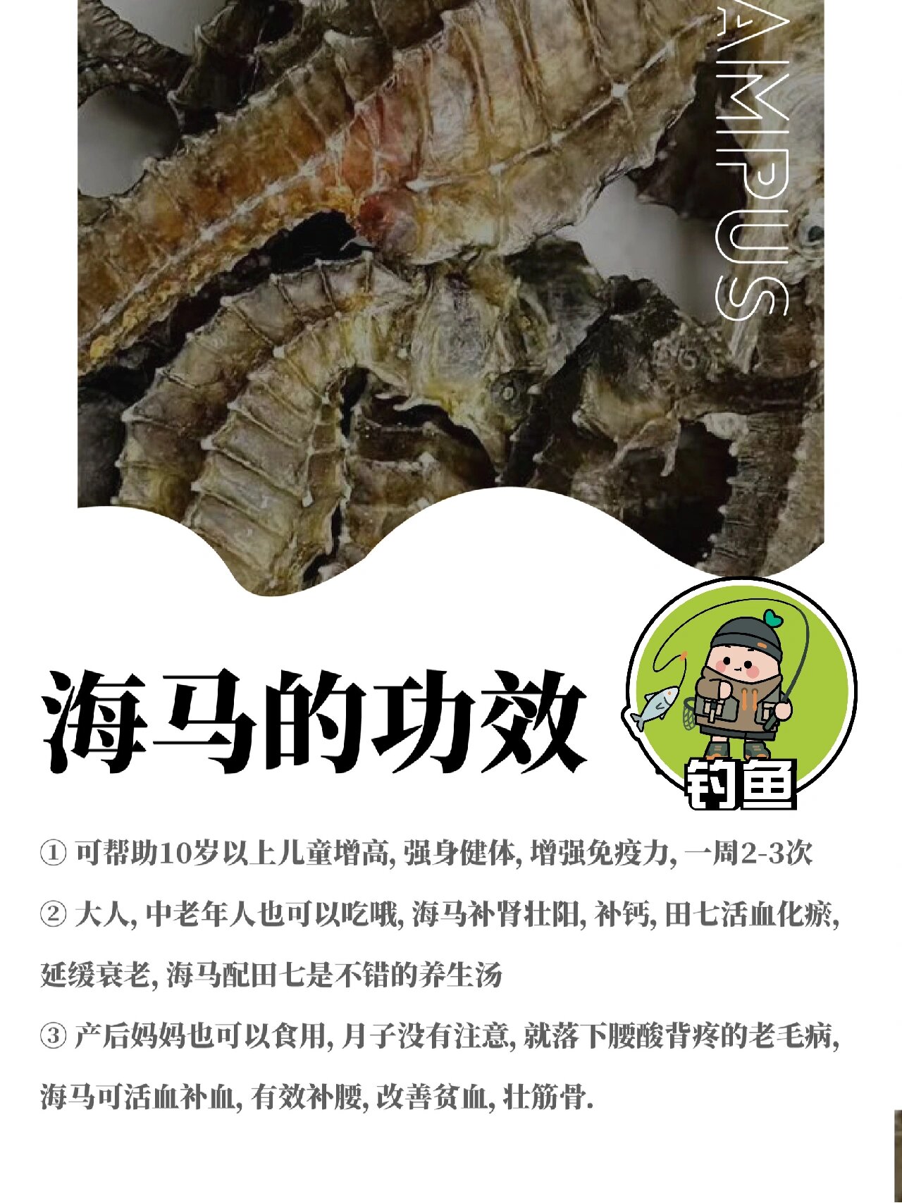 没想到海马这么多功效