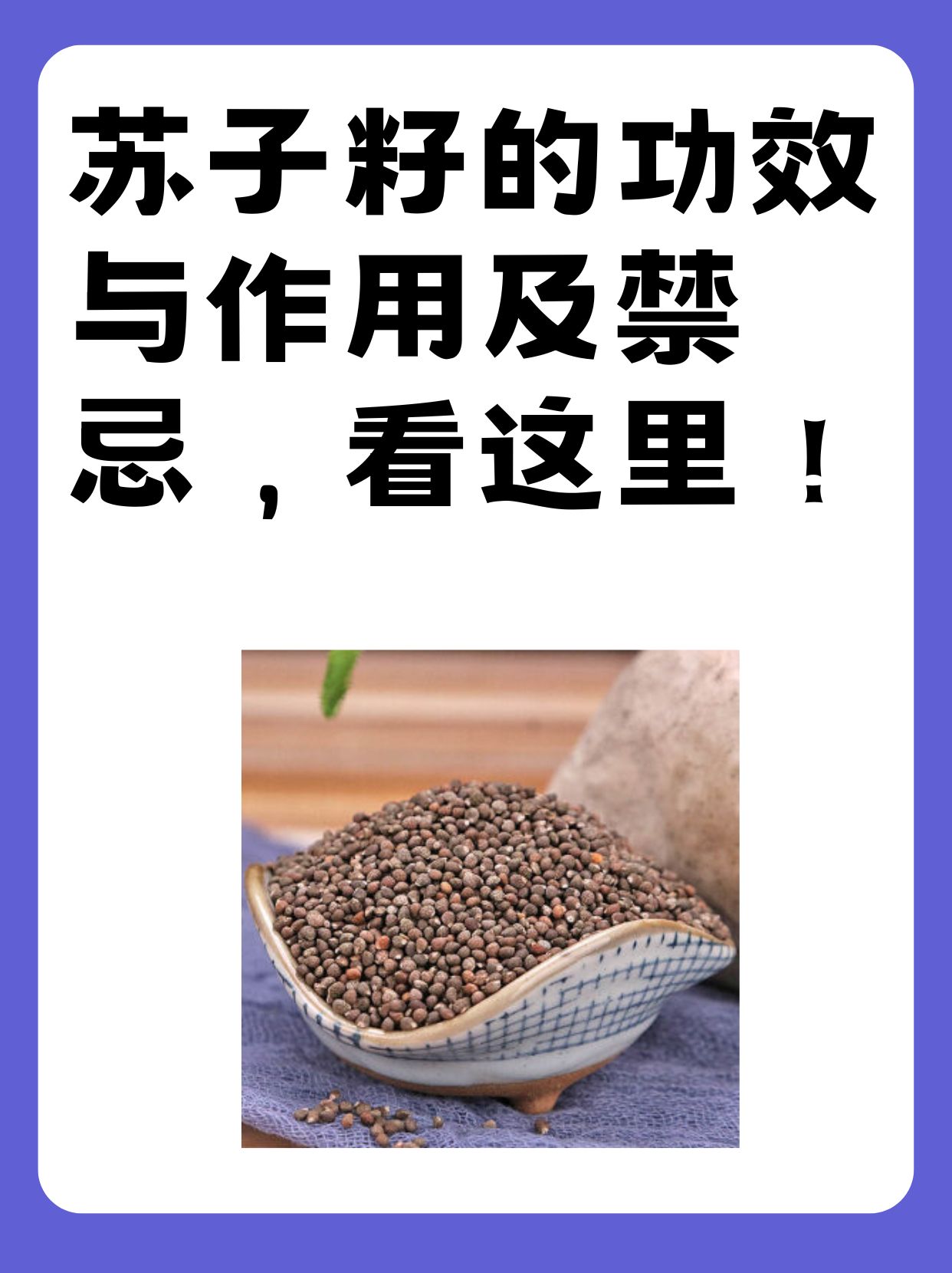 苏子籽的功效与作用及禁忌,看这里!
