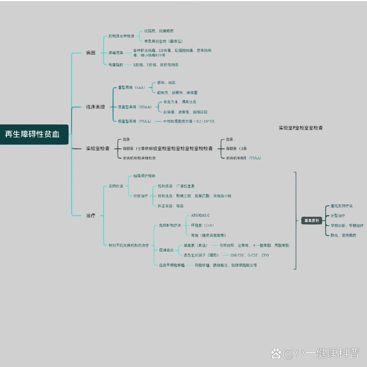 贫血性疾病思维导图图片