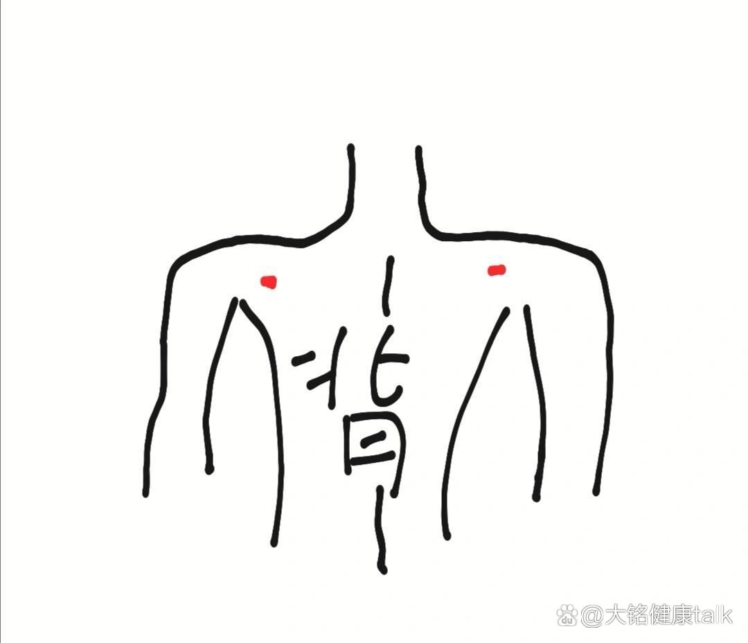 肩膀上有凹陷的窝是怎么回事