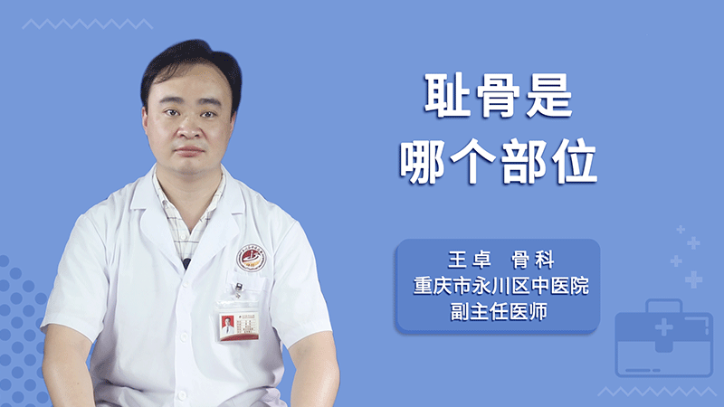 耻骨是哪个部位