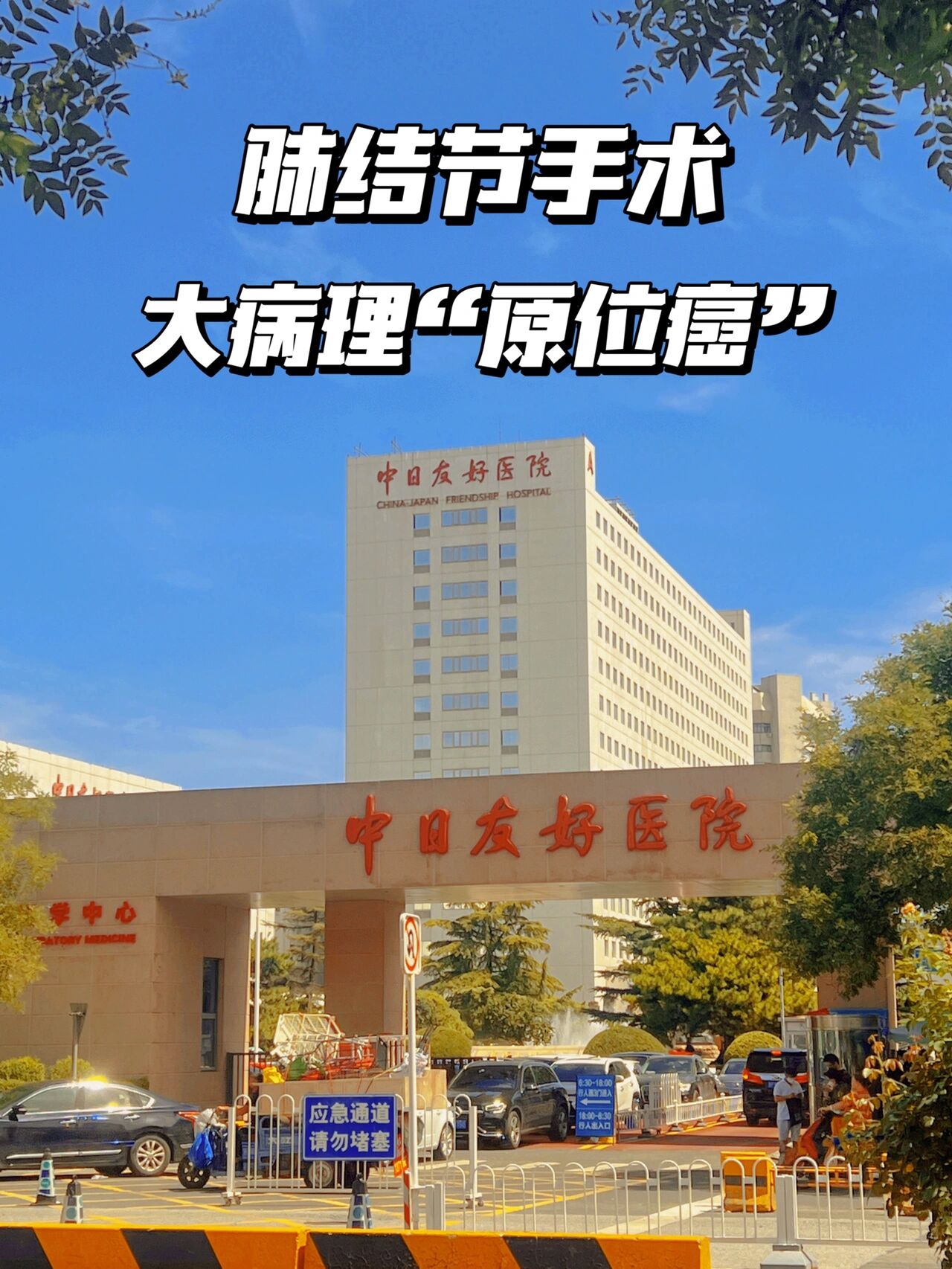 中日友好医院、石景山区挂号号贩子联系方式第一时间安排的简单介绍