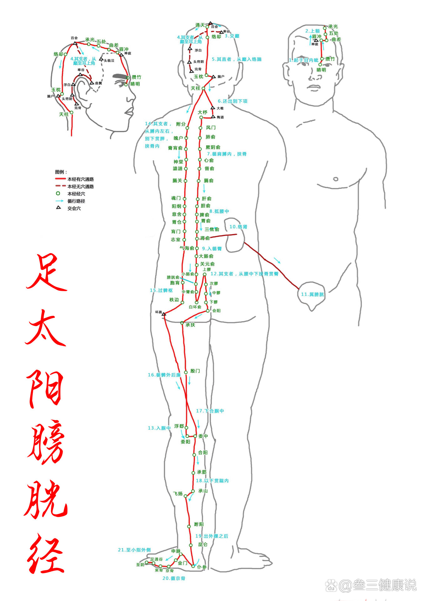 腿部六条经络走向图