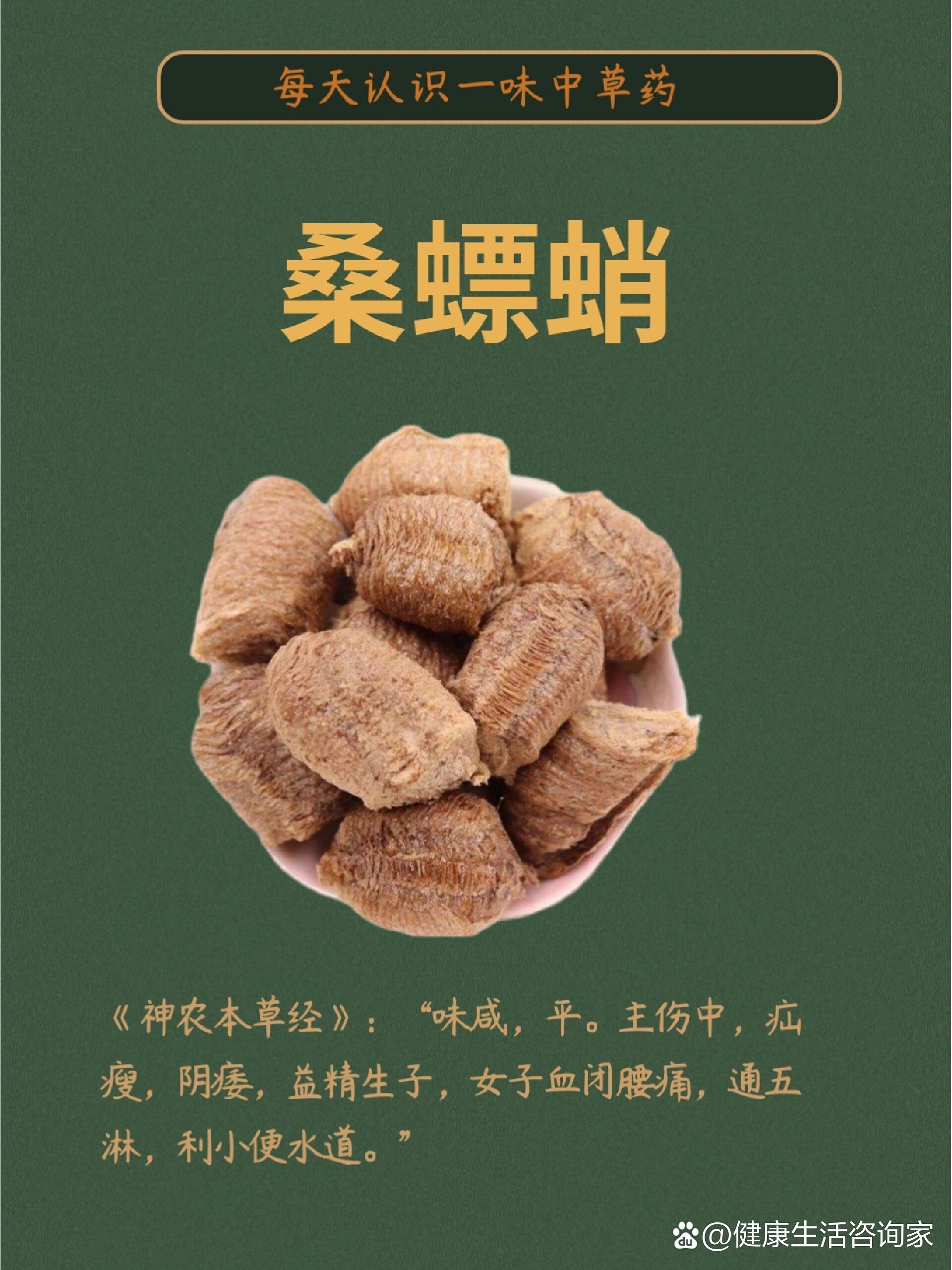 每日认识一味药🍯桑螵蛸