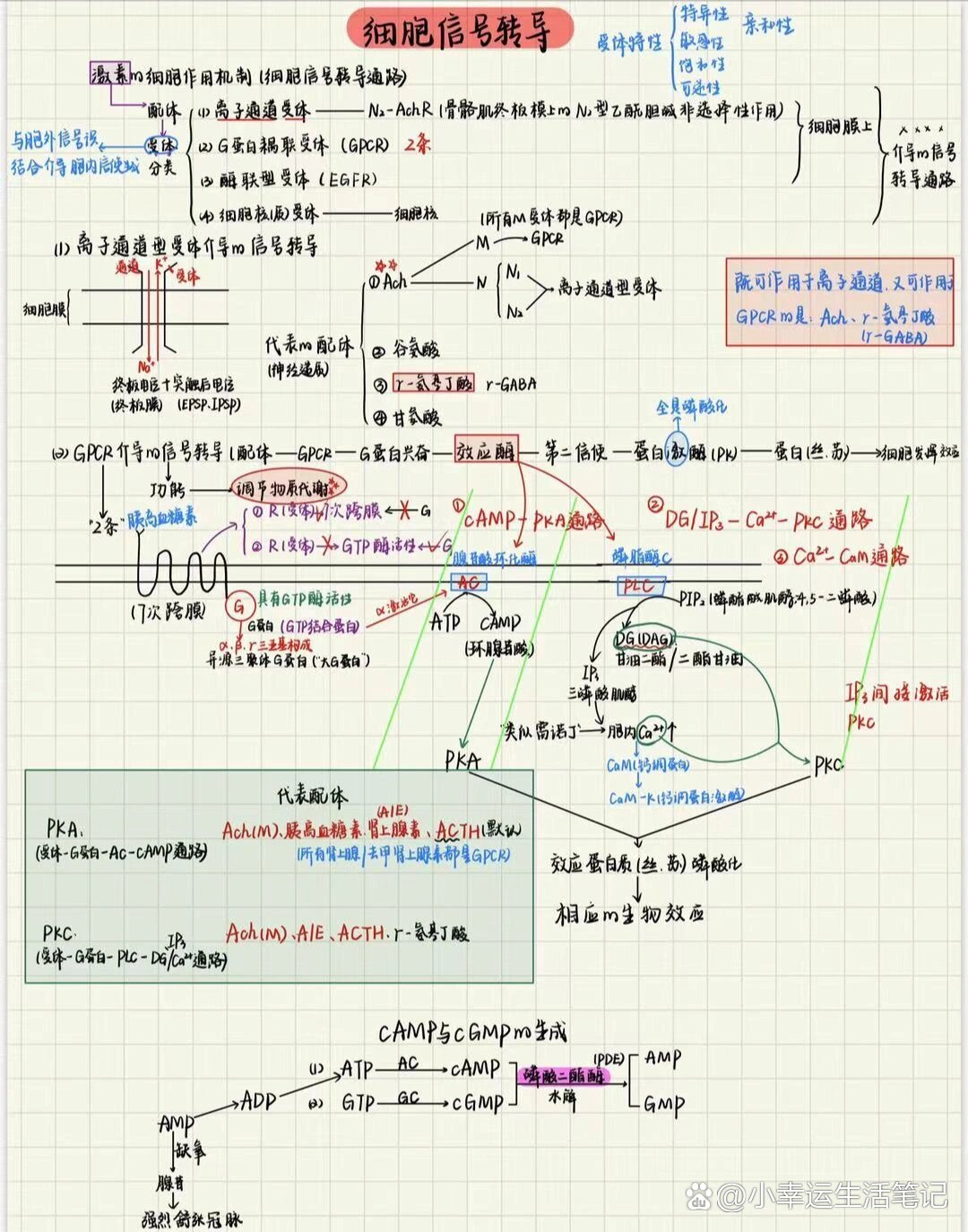 分子生物学《细胞信号转导》