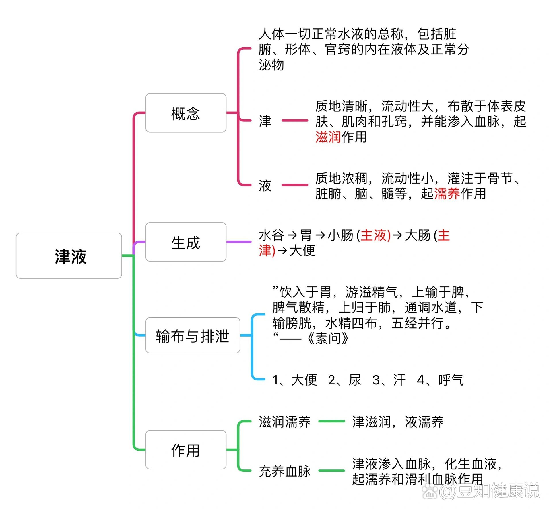 排泄护理知识导图图片