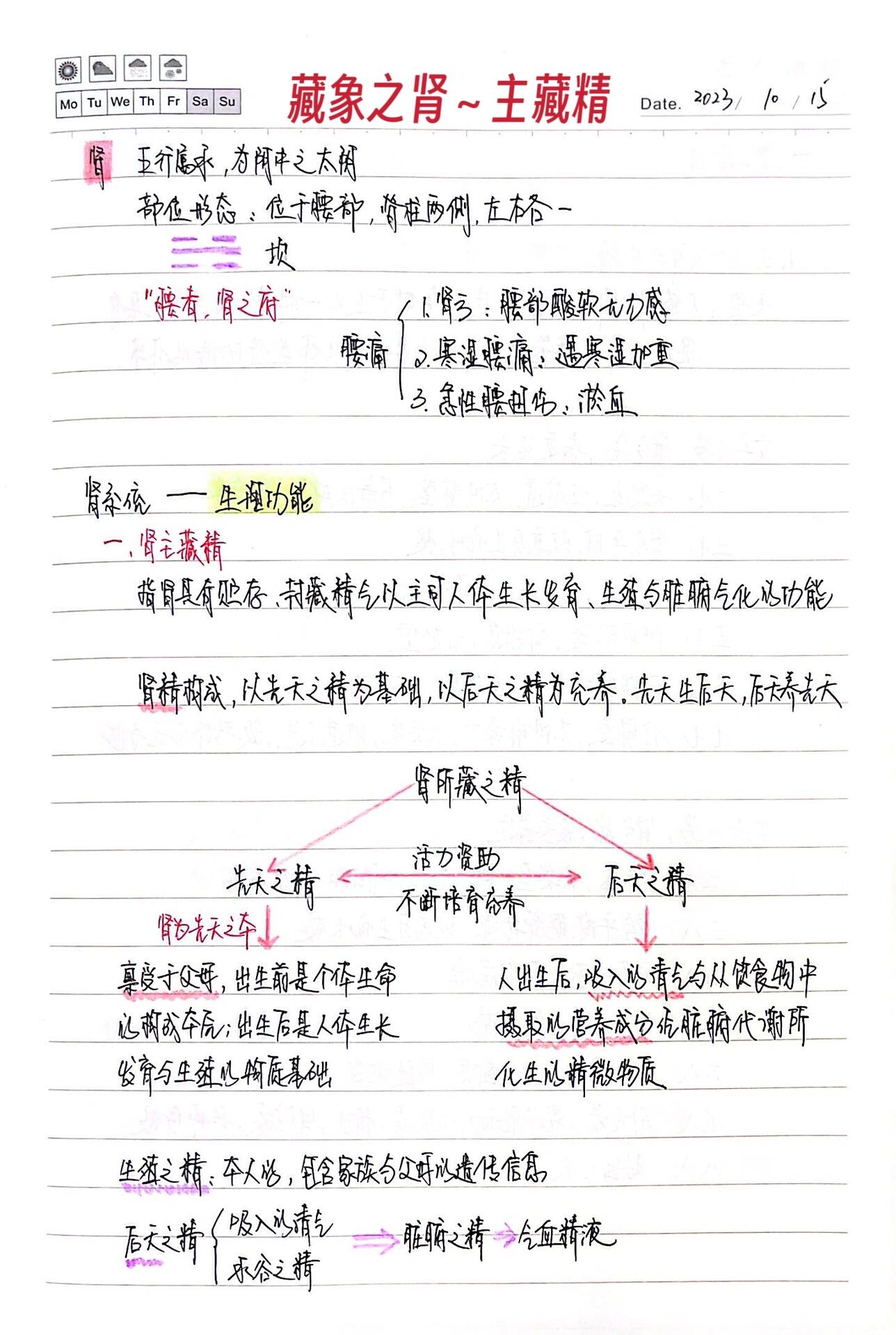 学习通中医基础理论答案（中医基础理论教程）