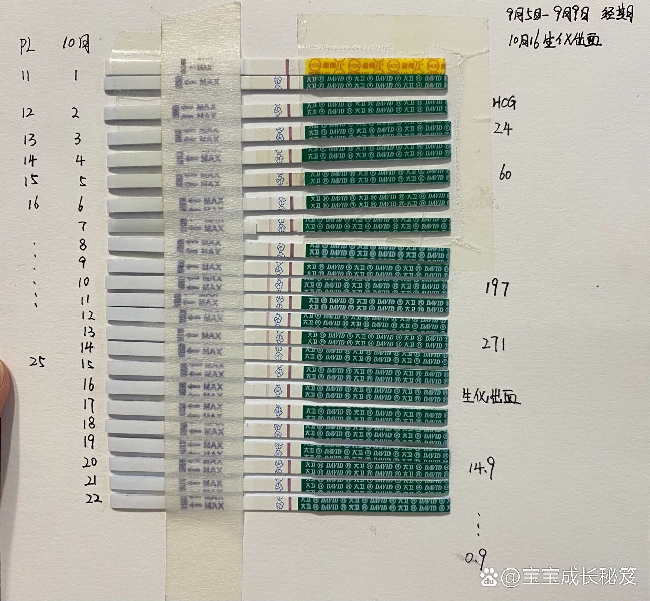 早孕试纸的变化过程图图片