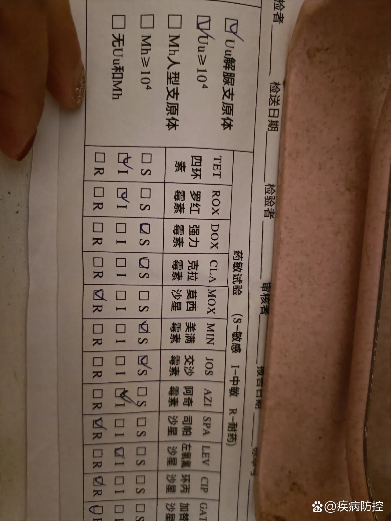 解脲支原体阳性