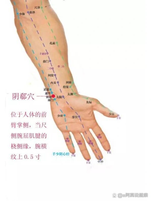 心经位置图和作用图片