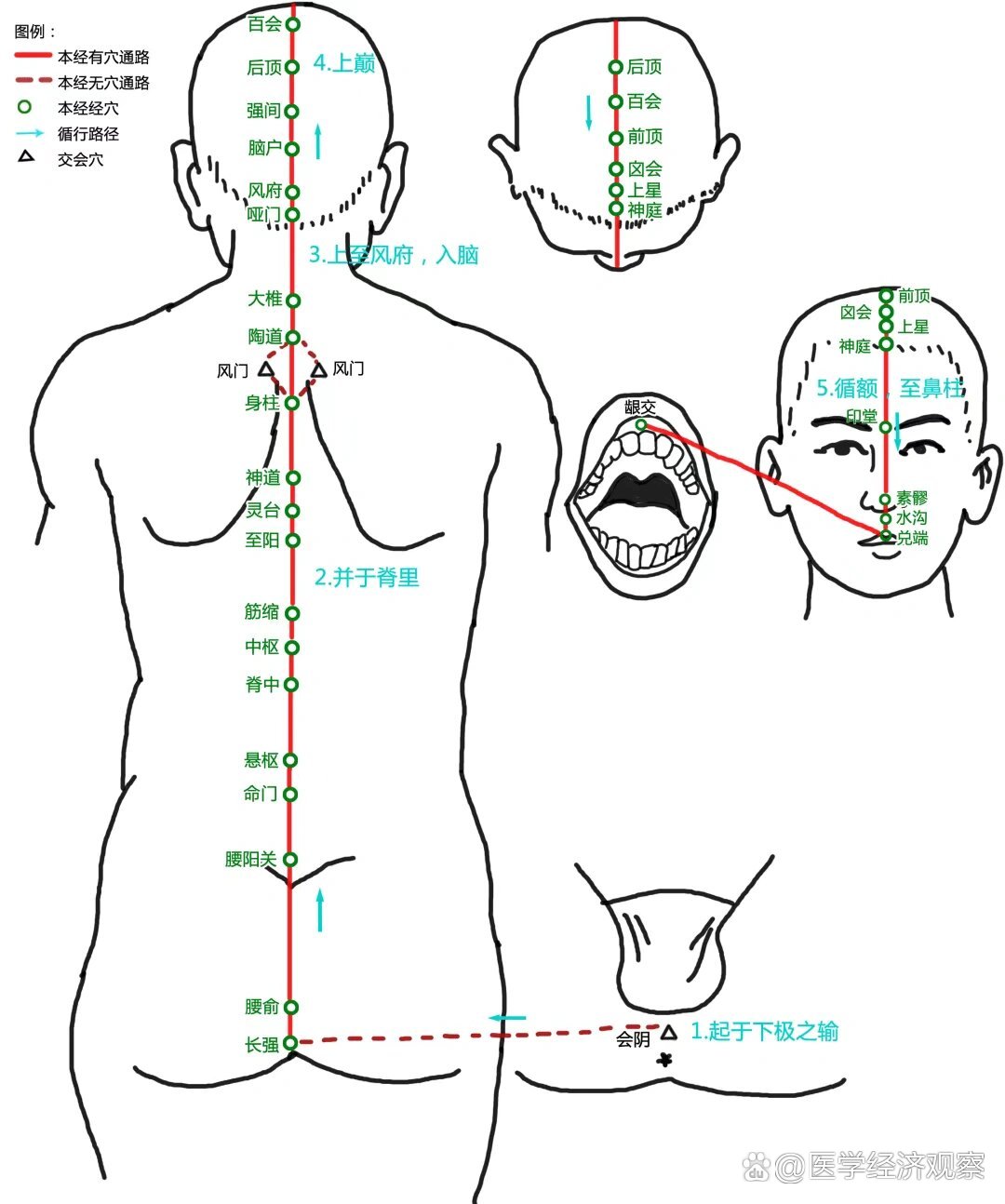 督脉(诸阳之会)循行路线图