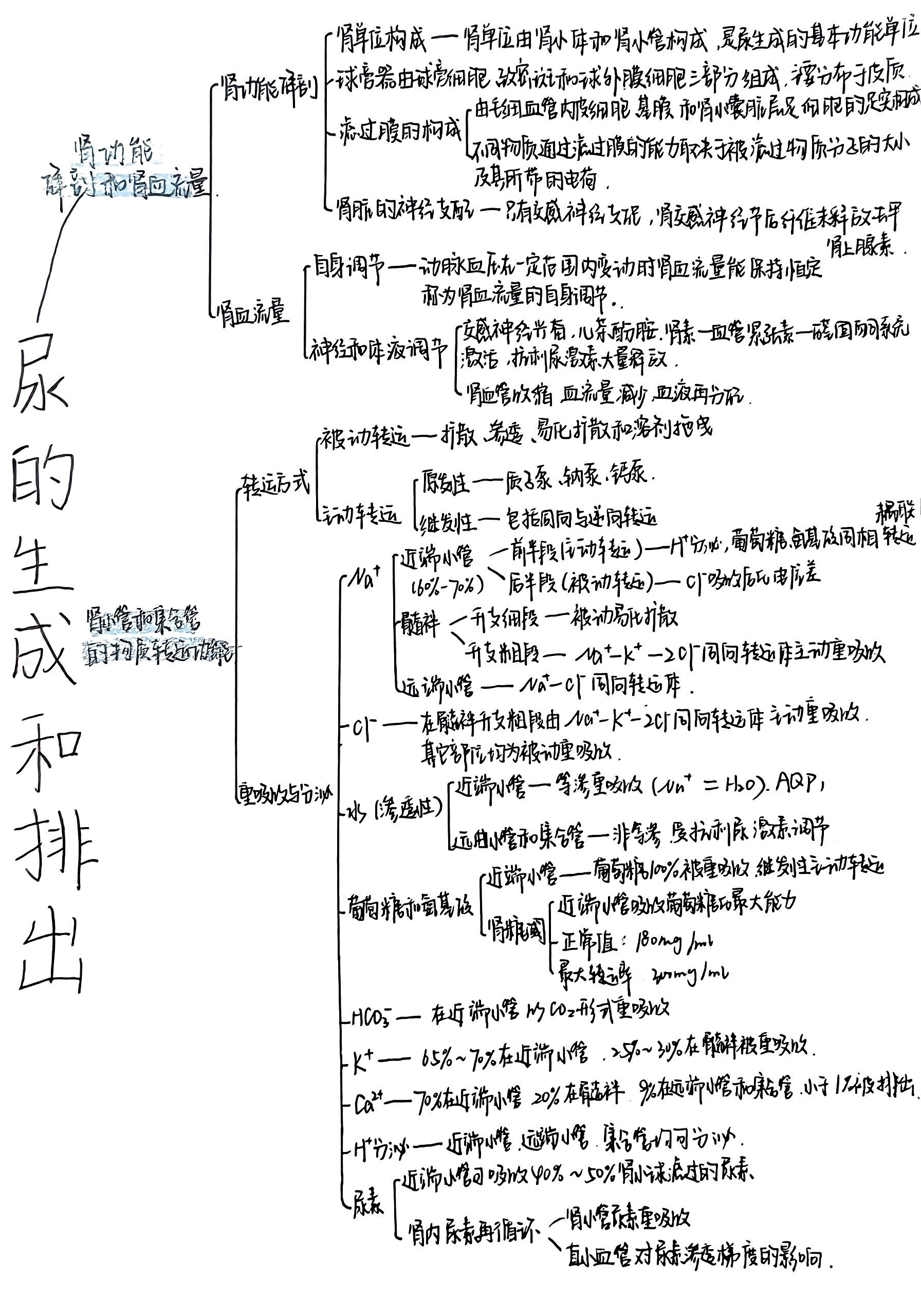 生理学第八章尿的生成和排出思维导图