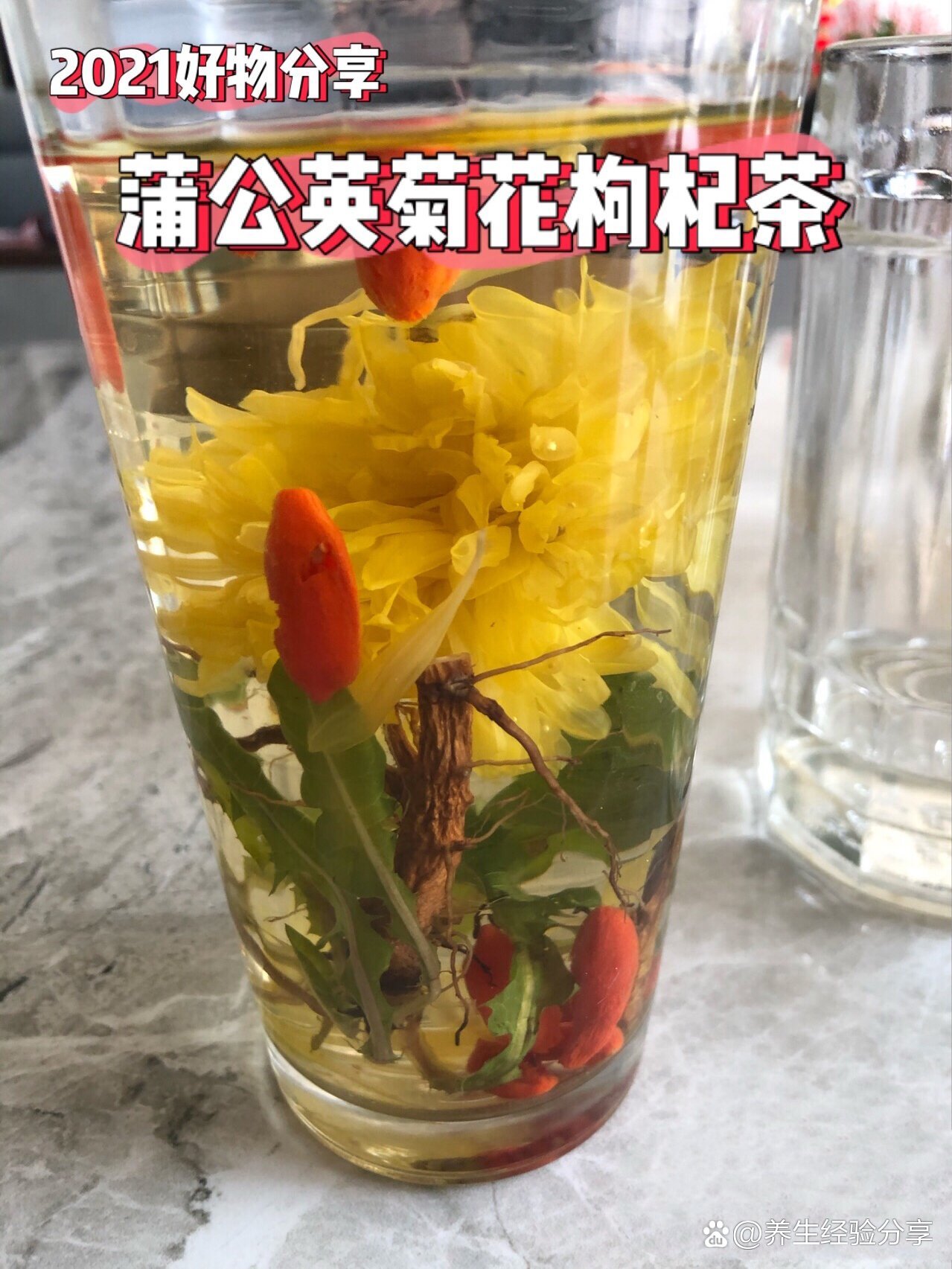 菊花枸杞茶pop图片