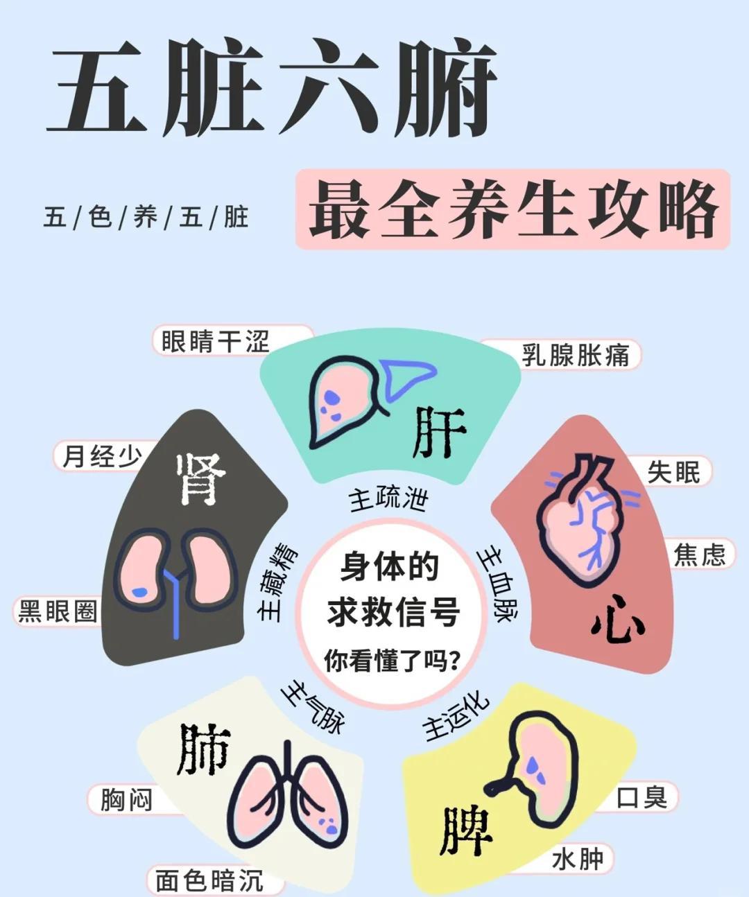五脏六腑健康秘籍：中医养生全攻略