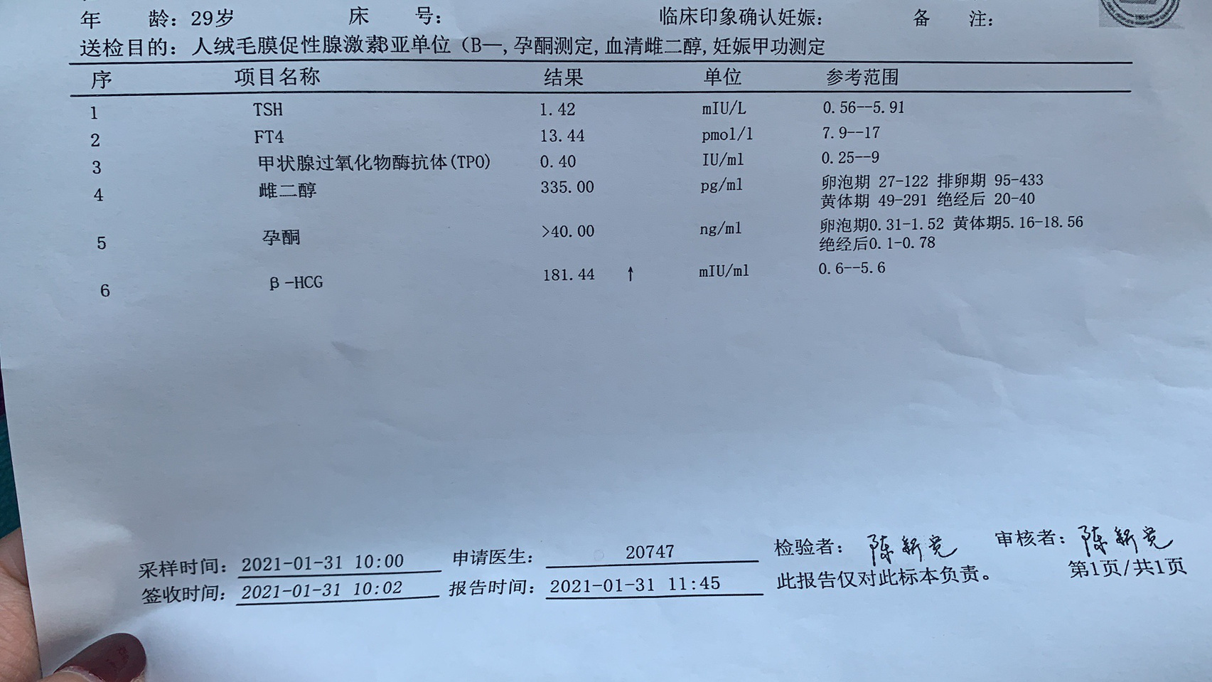 刚怀孕的验血单子图片图片