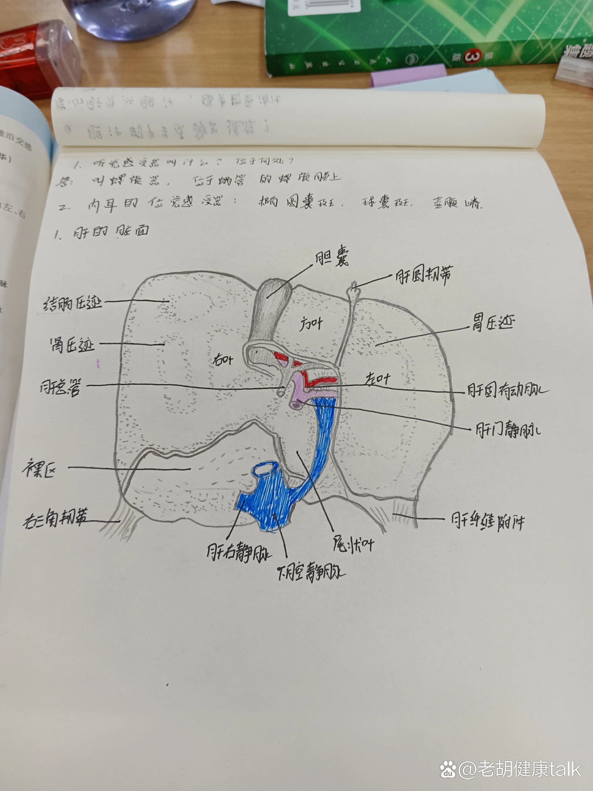 系统解剖