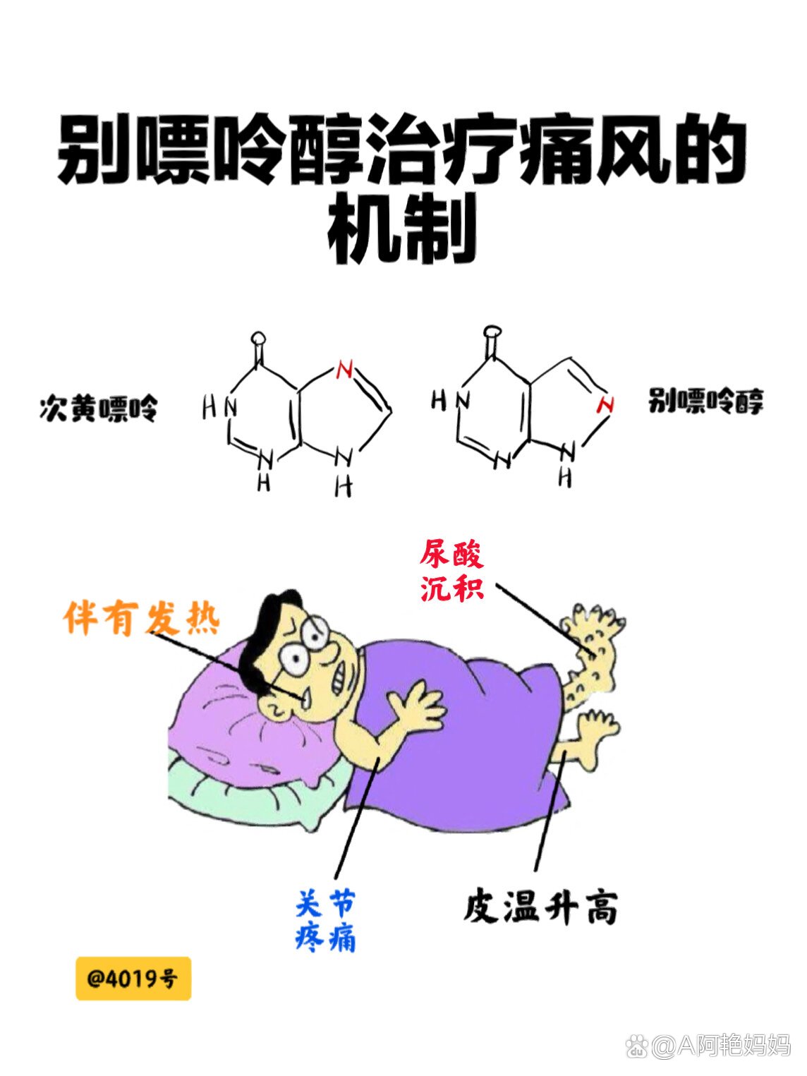 别嘌醇作用机制图片