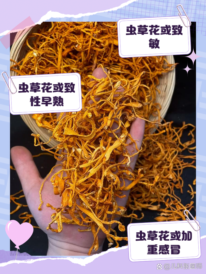 女人吃虫草花的害处