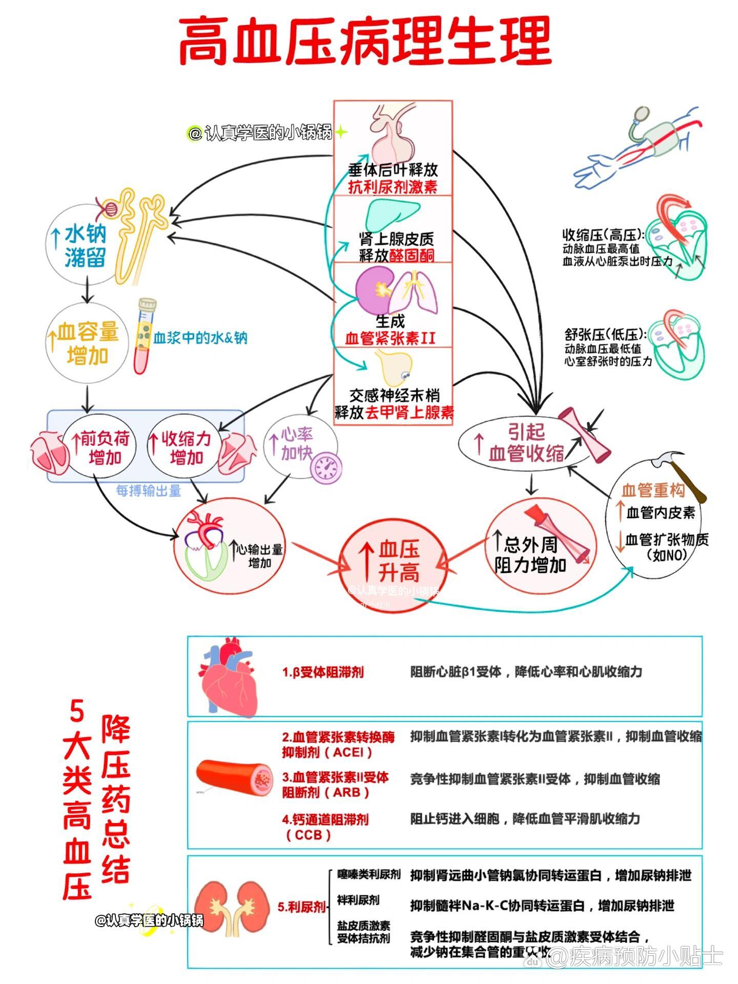 高血压分组危险因素图片