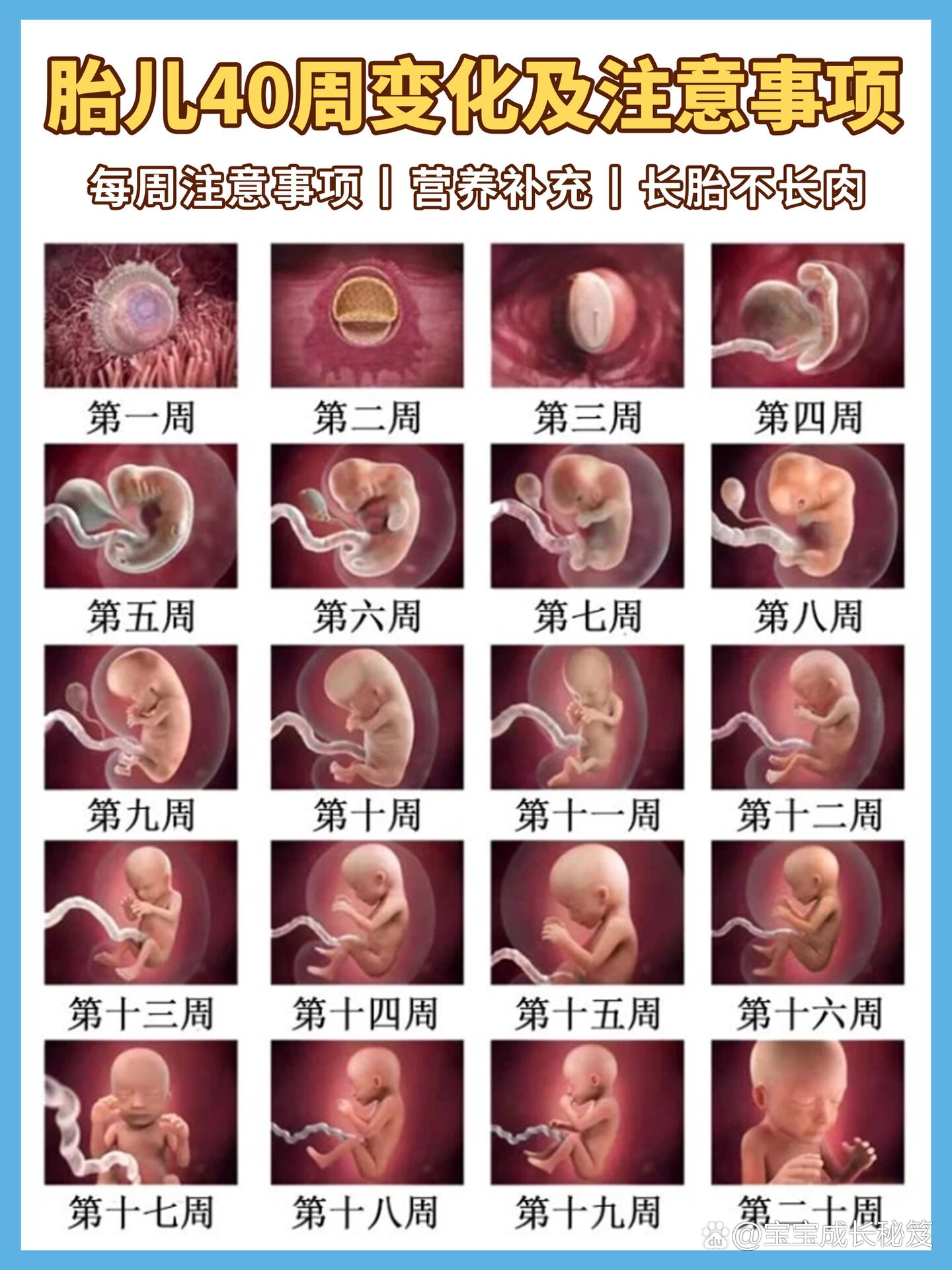 宝宝10周发育图片图片