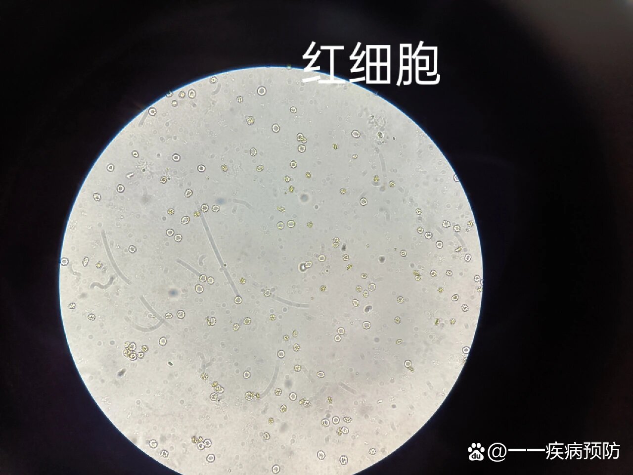全网资源