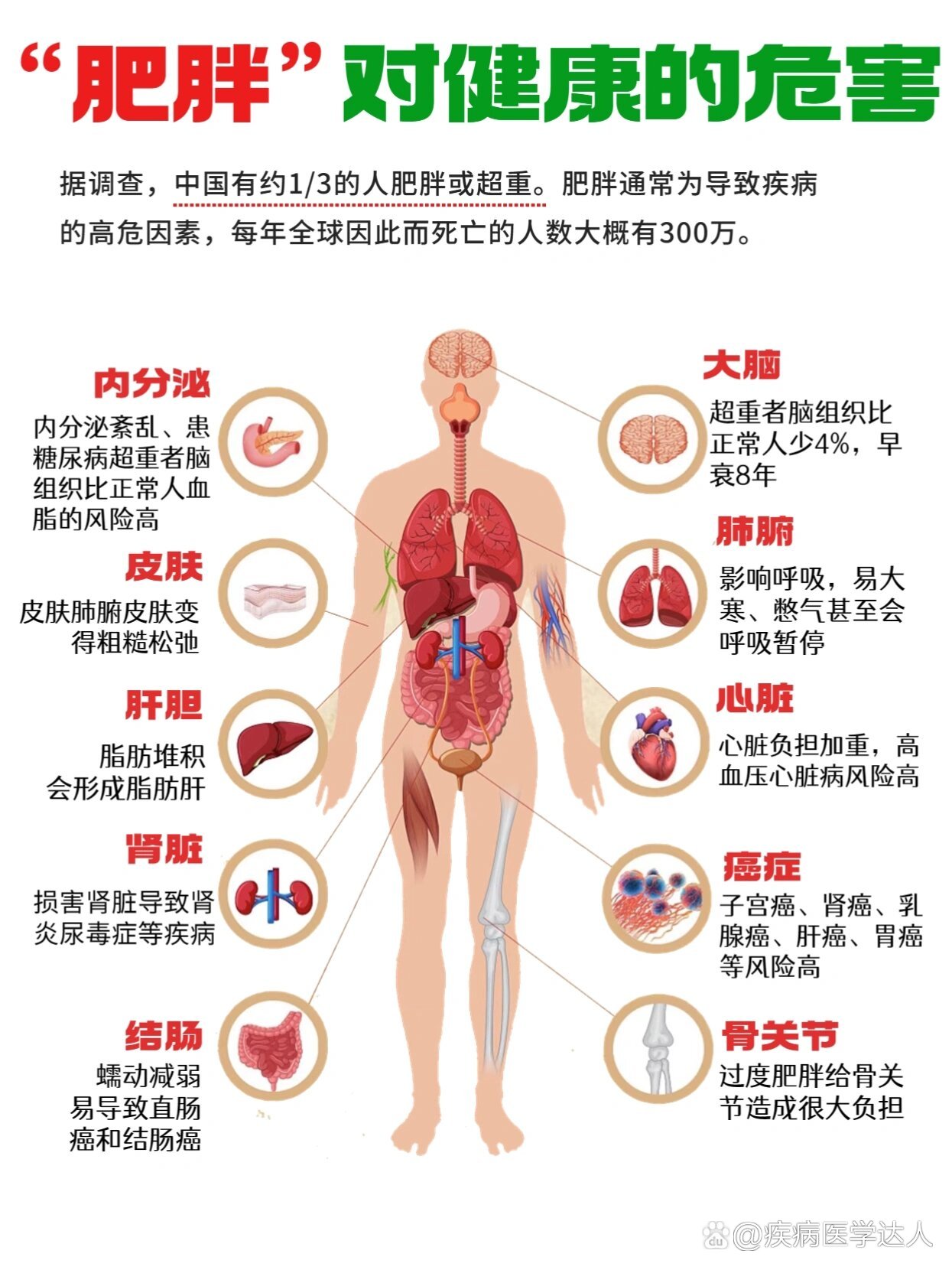 肥胖的八大危害图片图片