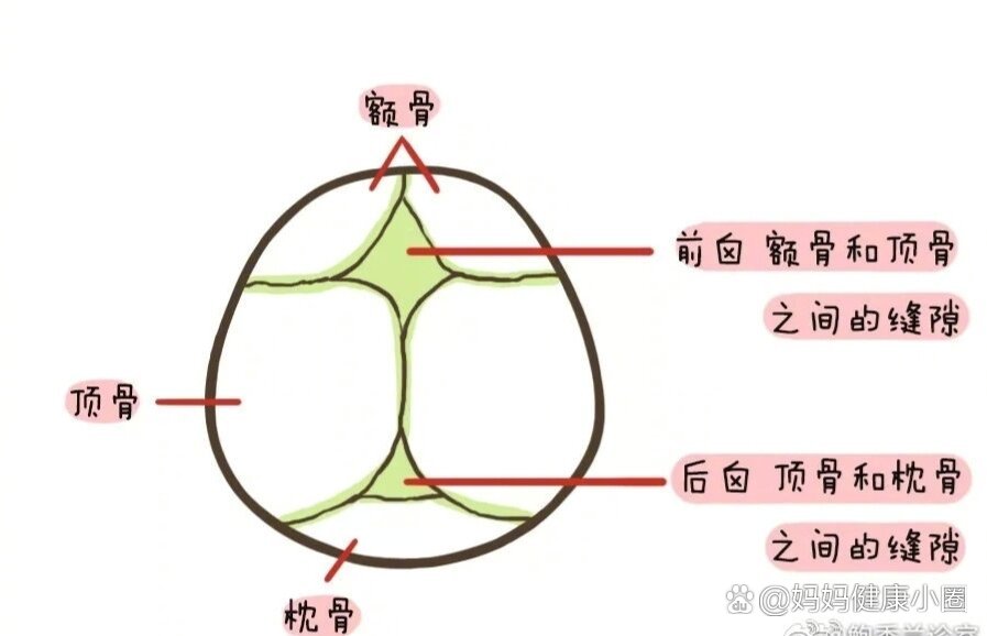 宝宝前囟的大小怎么测量呢?