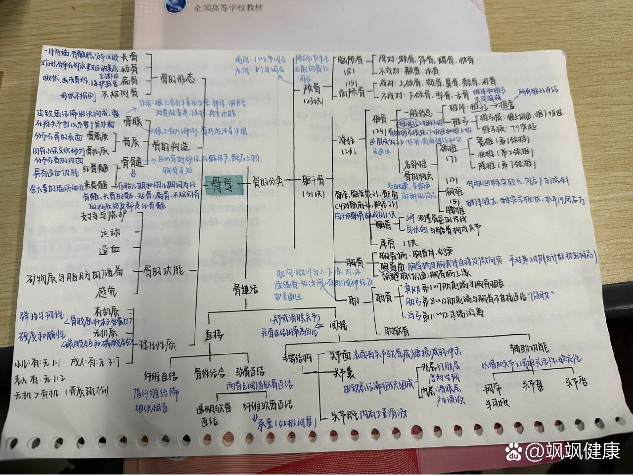 系统解剖思维导图手绘图片