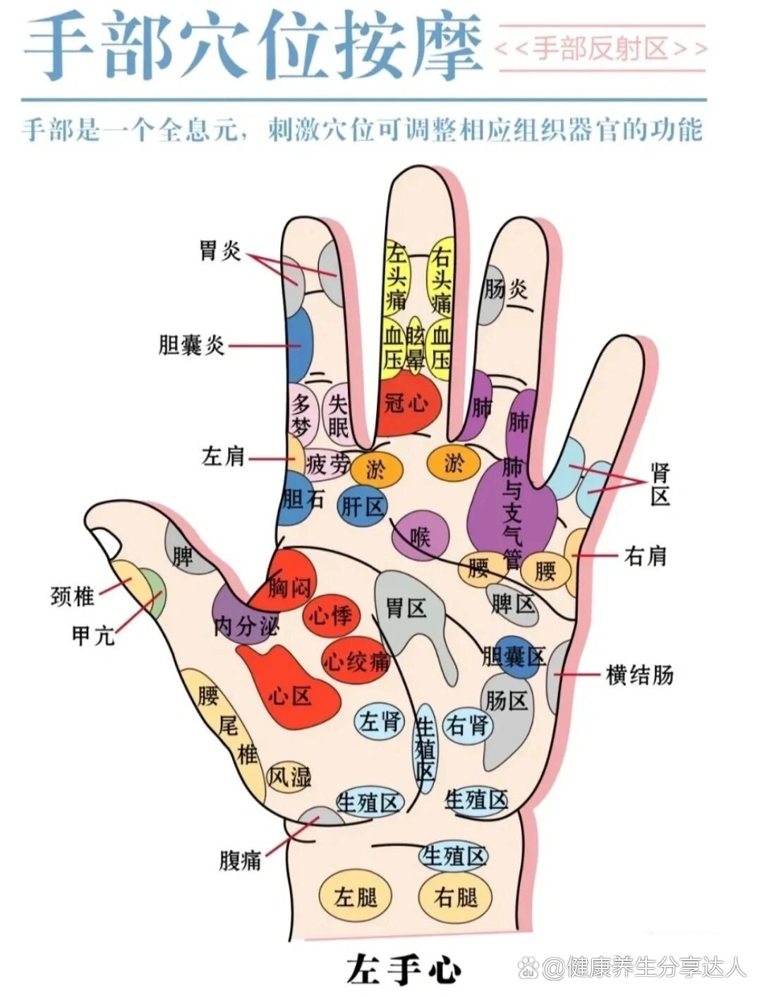 p 手部常用穴位图解& 拍手养生操 br  养生知识