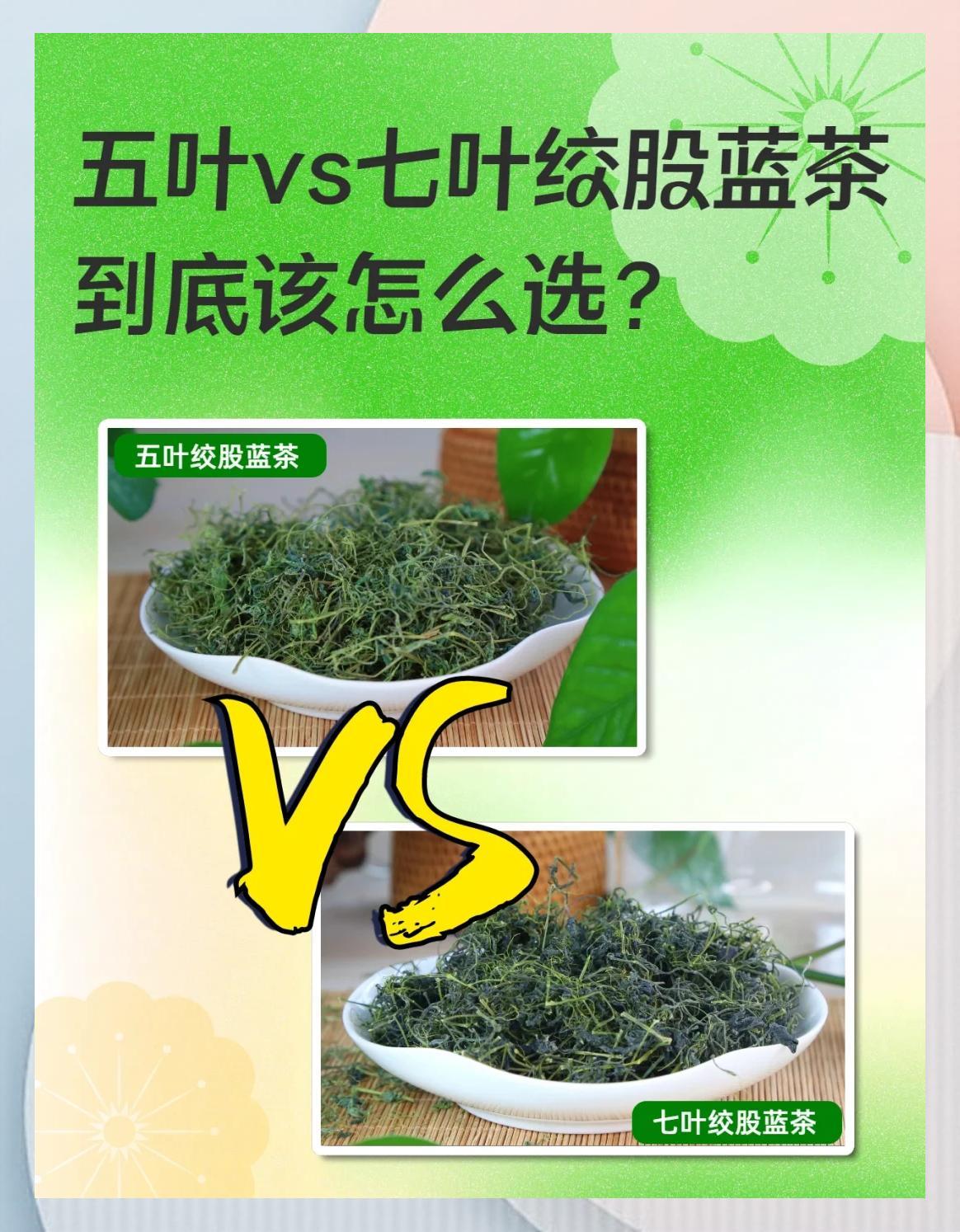 五叶VS七叶绞股蓝🍵谁更懂你？