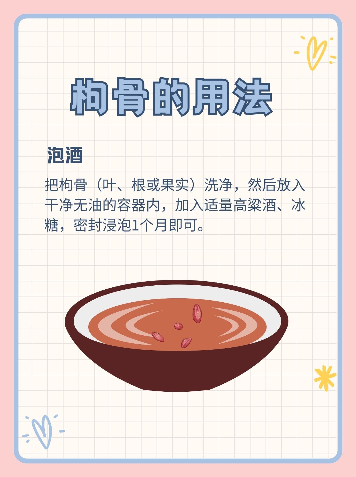 走近枸骨:它有什么药用价值?有什么功效作用?