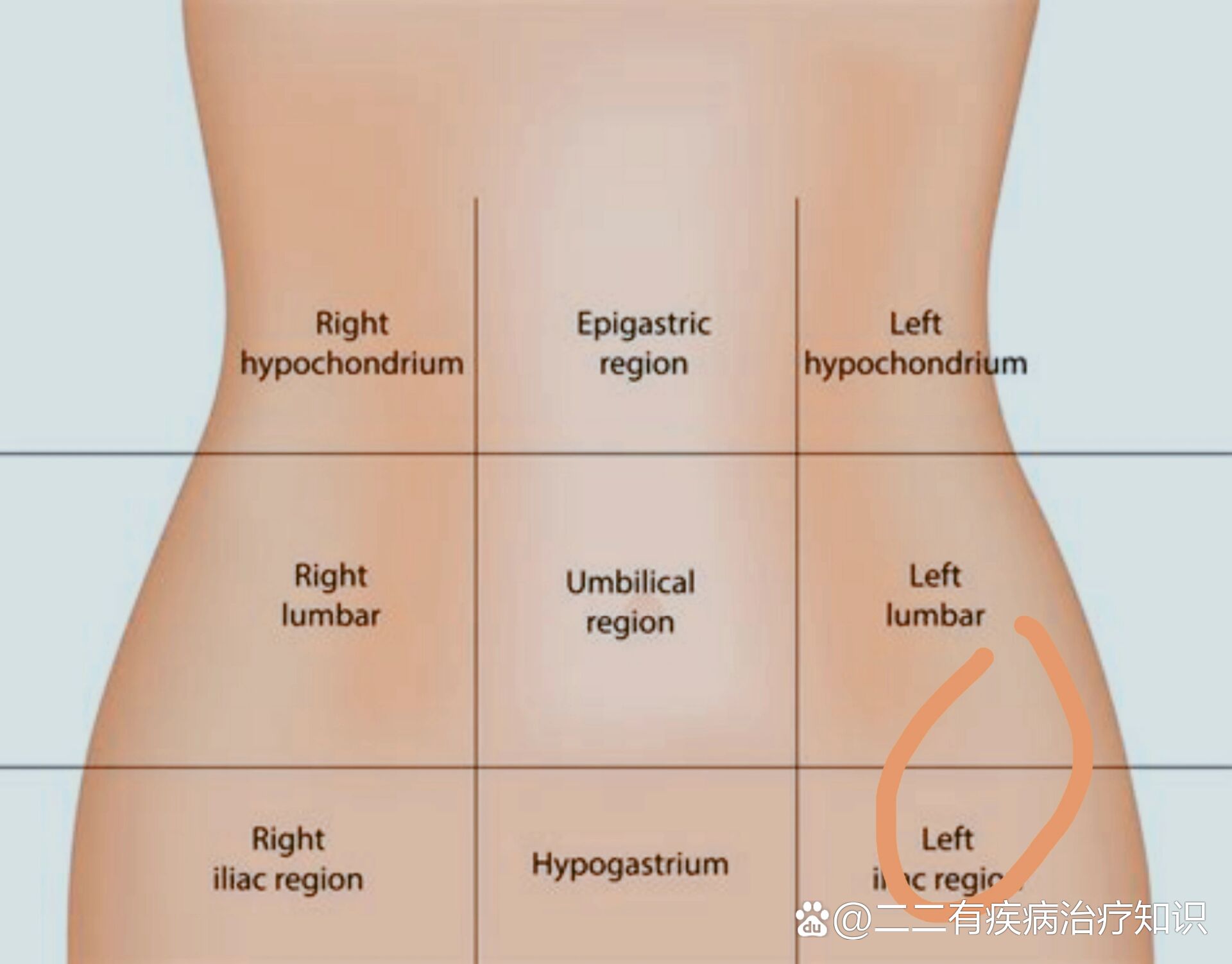 左下腹部肌肉总是跳动,这是什么鬼?