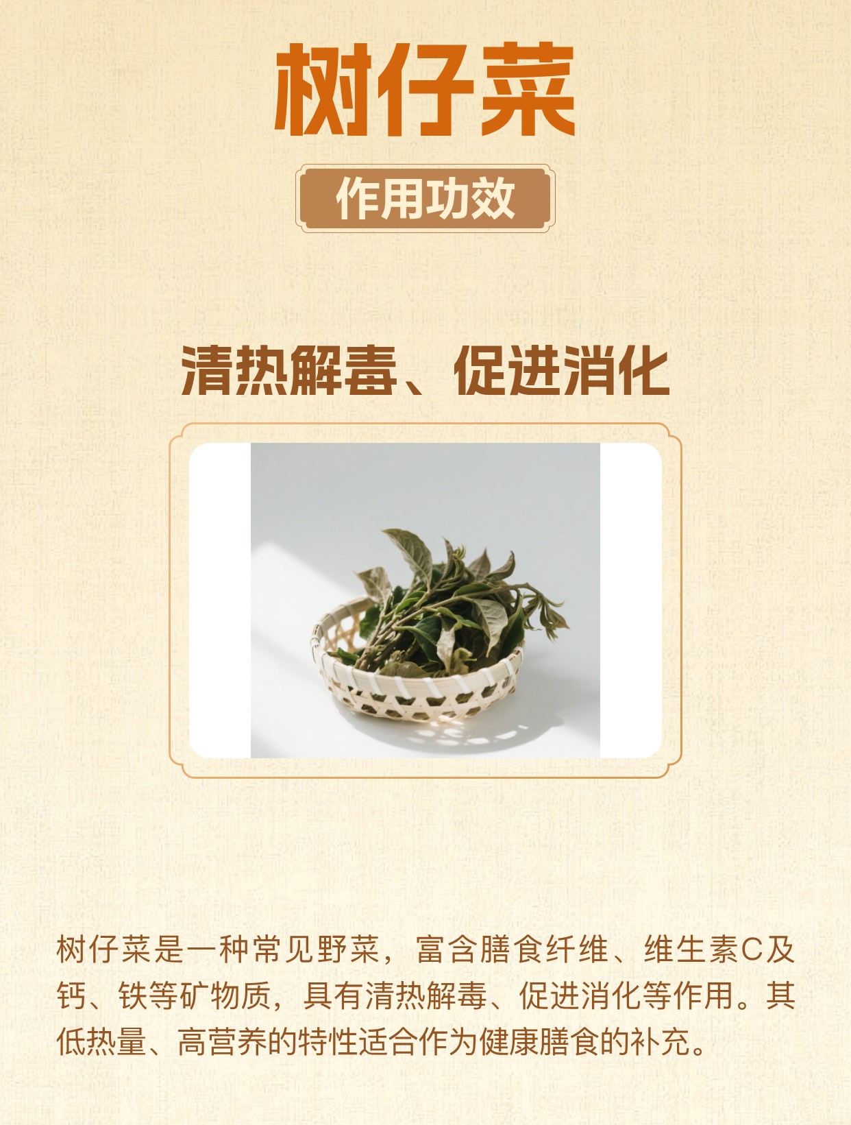 树仔菜的作用与功效 | 百度健康·医学科普