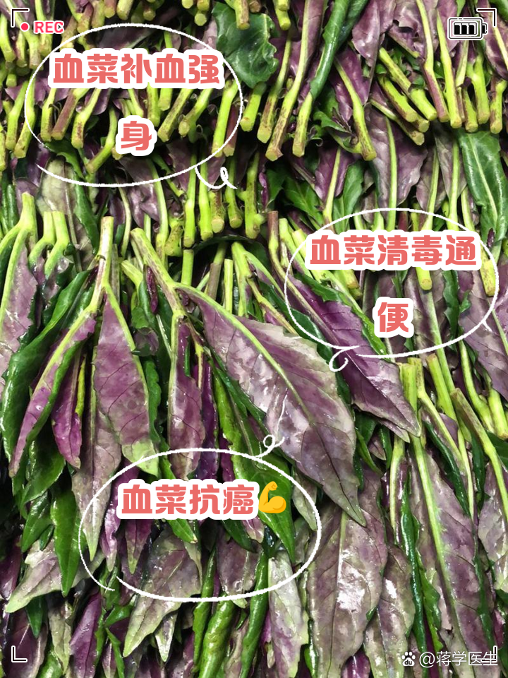血菜的功效与作用