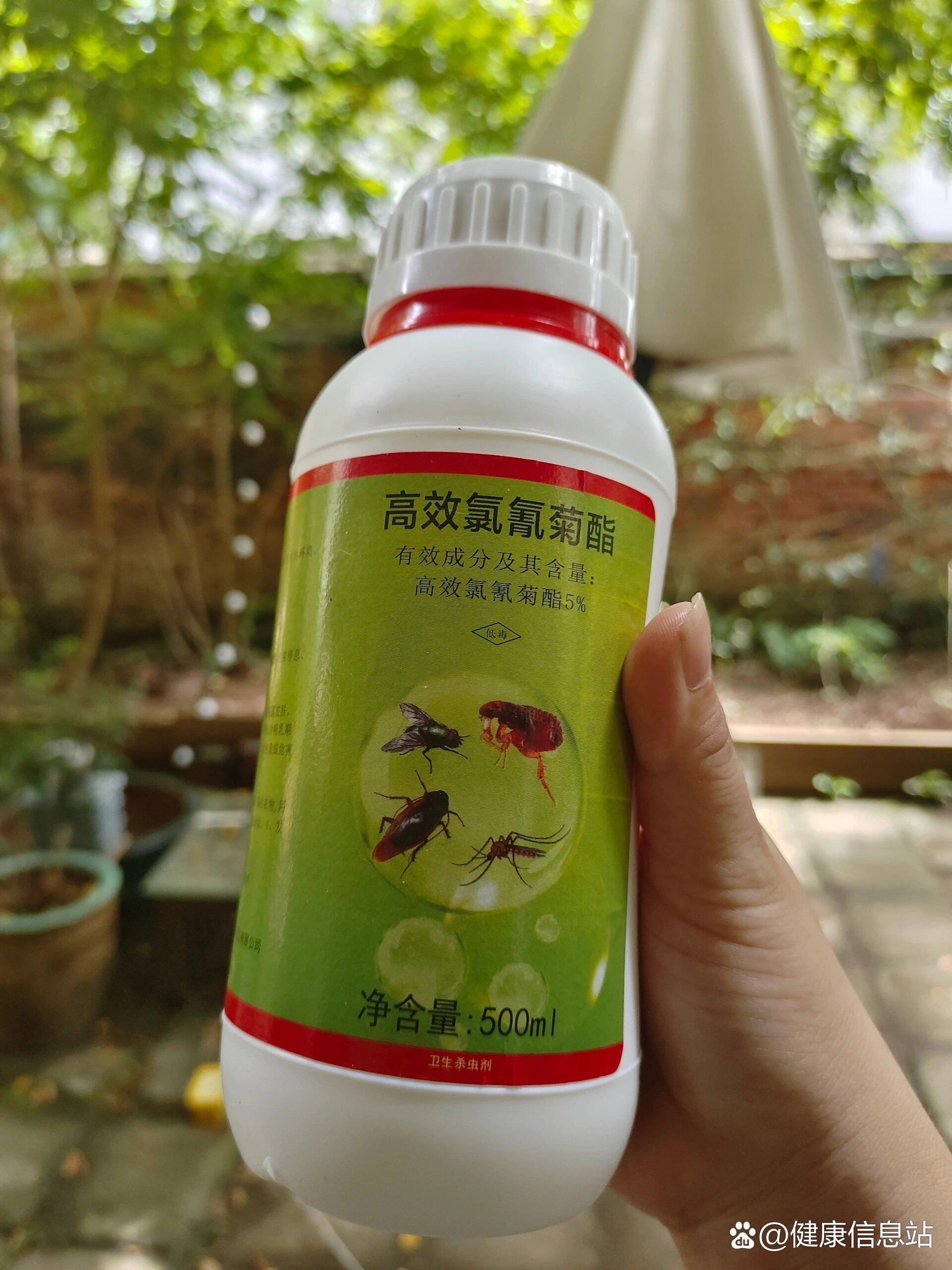 高效氯氰菊酯中毒解救图片