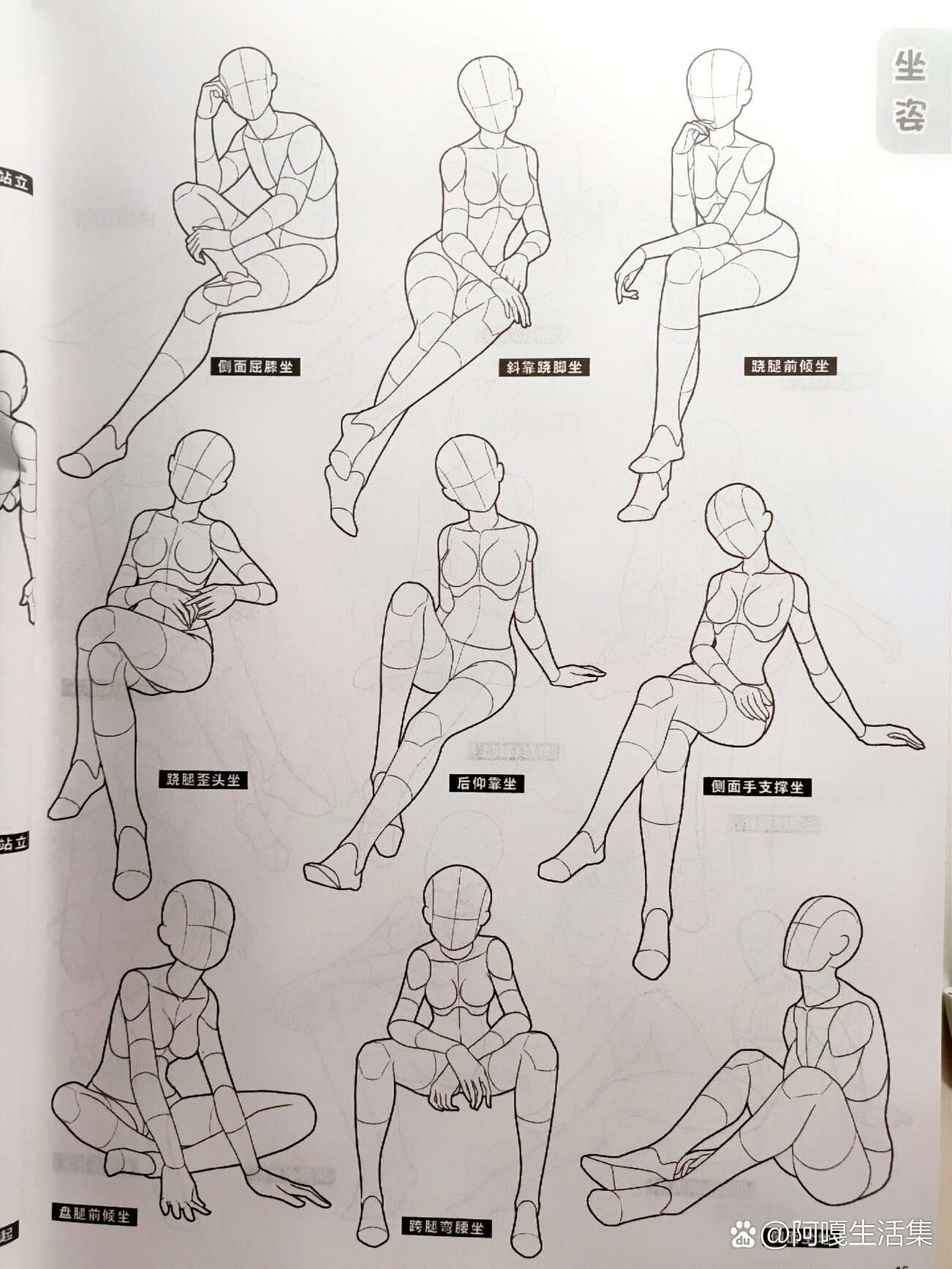 人体结构3——坐姿篇