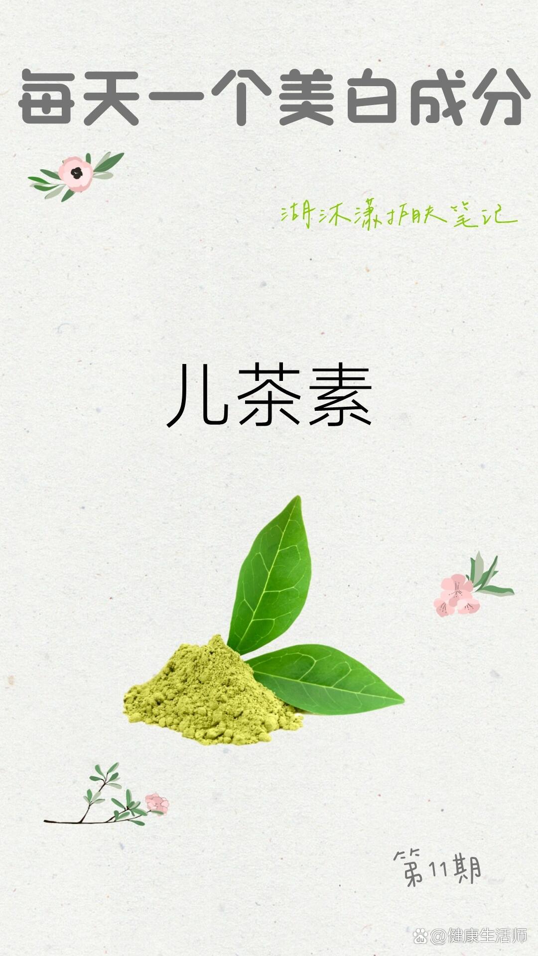 伊犁茶素图片