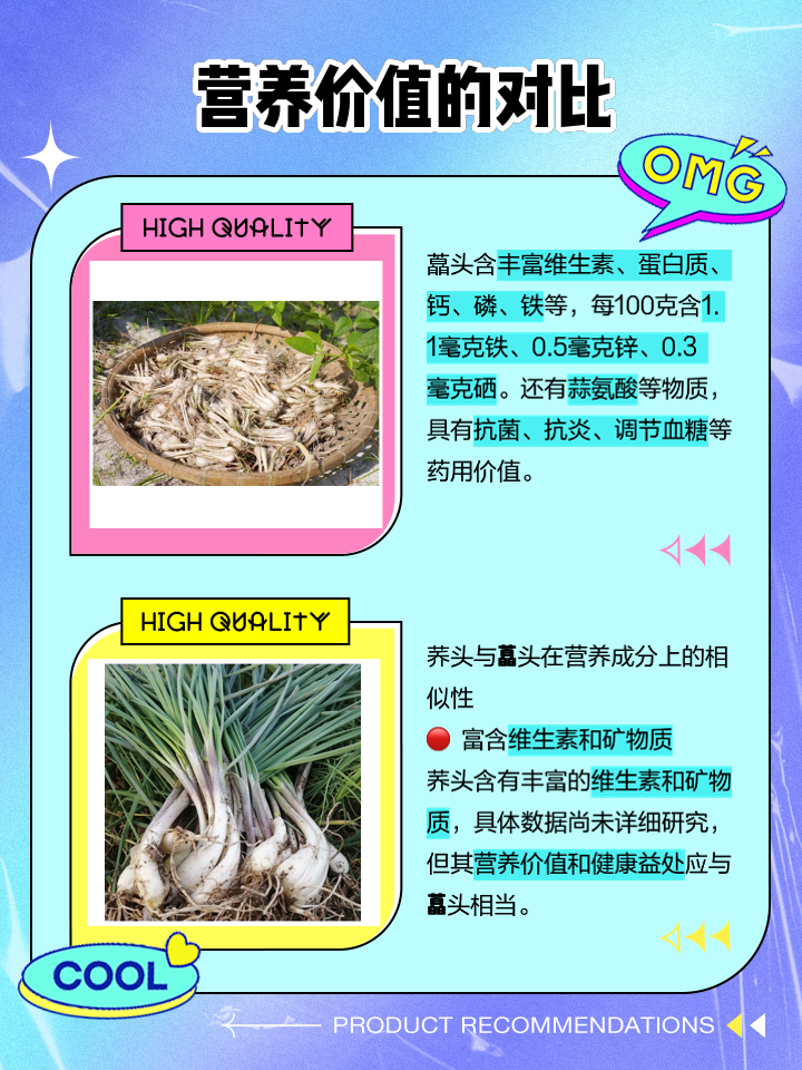 藠头和荞头有什么区别
