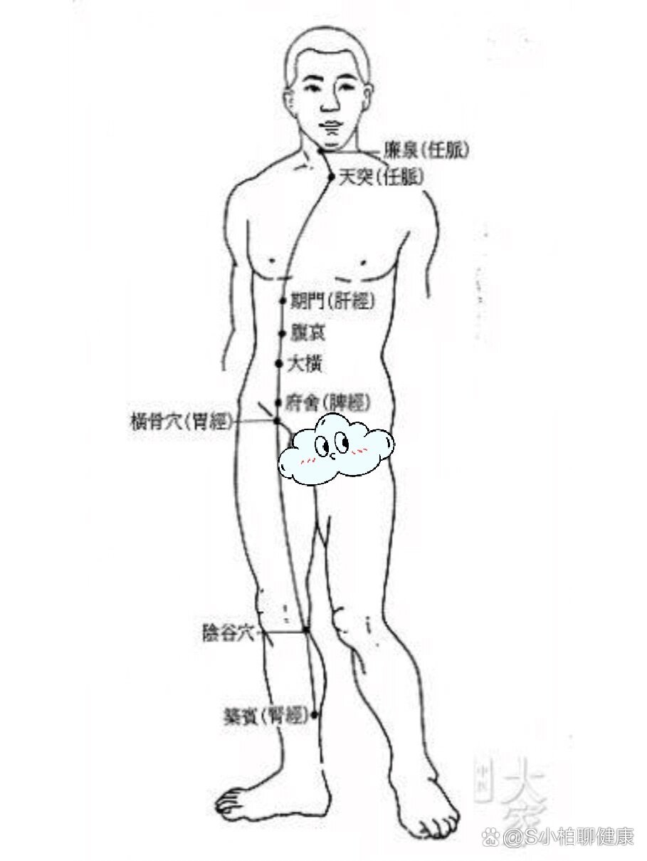 阳维脉走向图图片