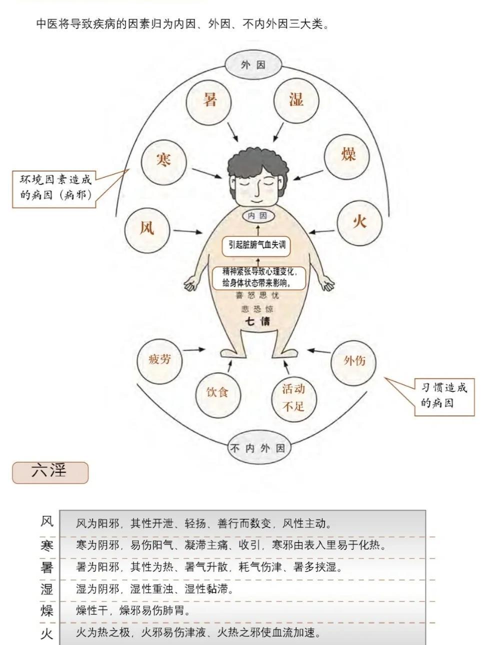 中医视角：人为什么会生病？
