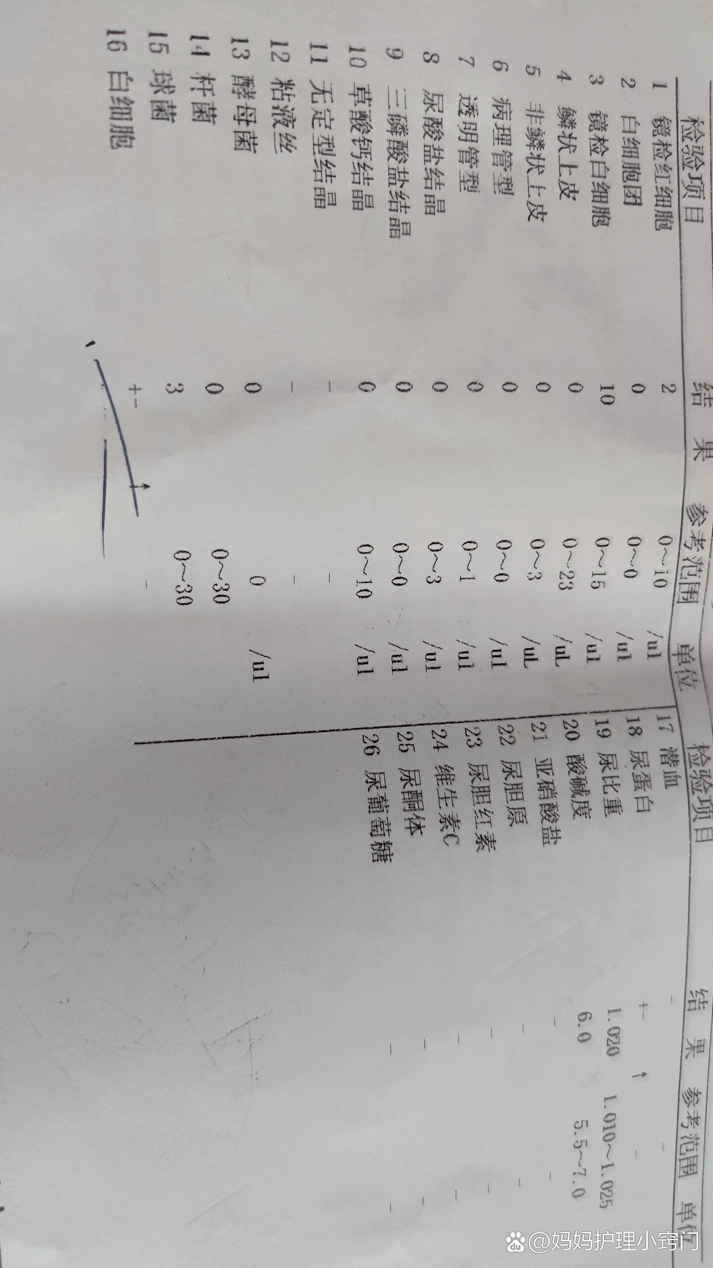 尿沉渣粘液丝图片