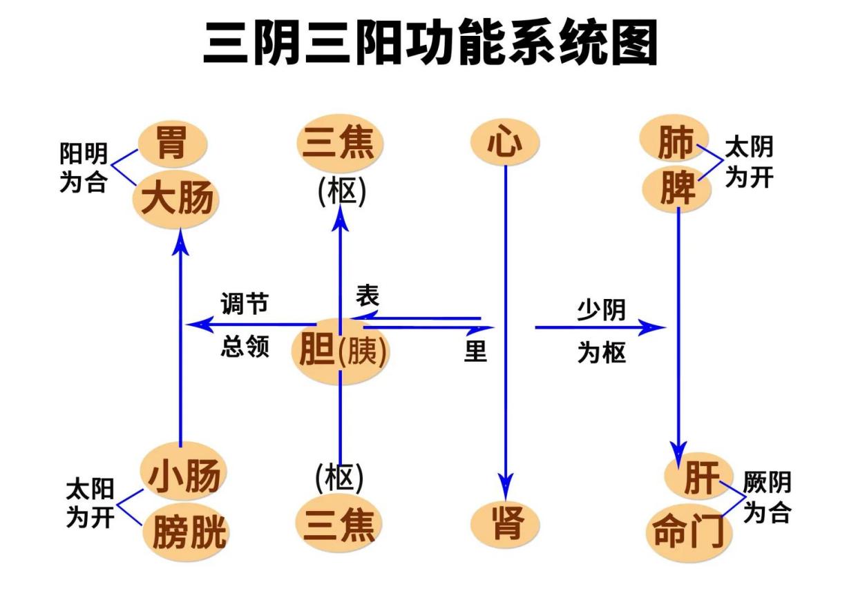 针灸期门解血室热💉