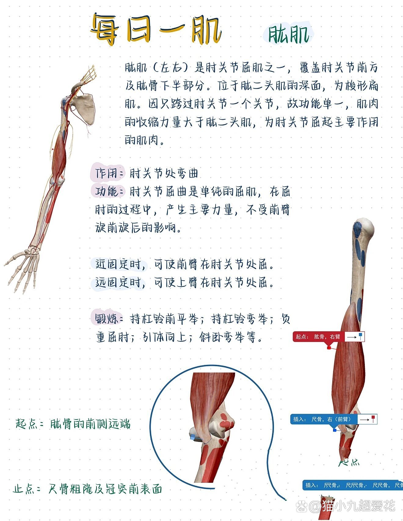 07零基础解剖学