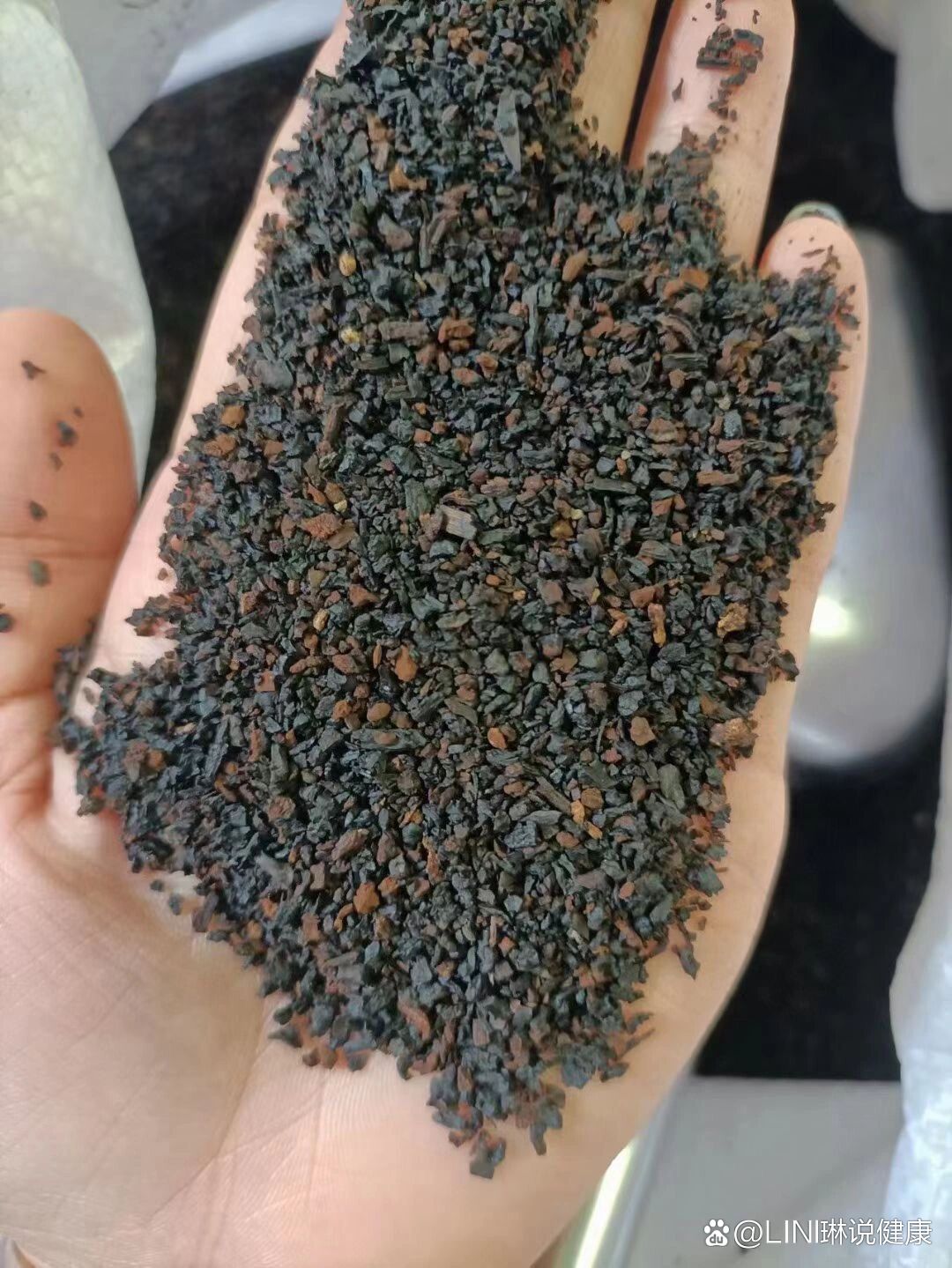 东北特产之桦树茸的功效与作用