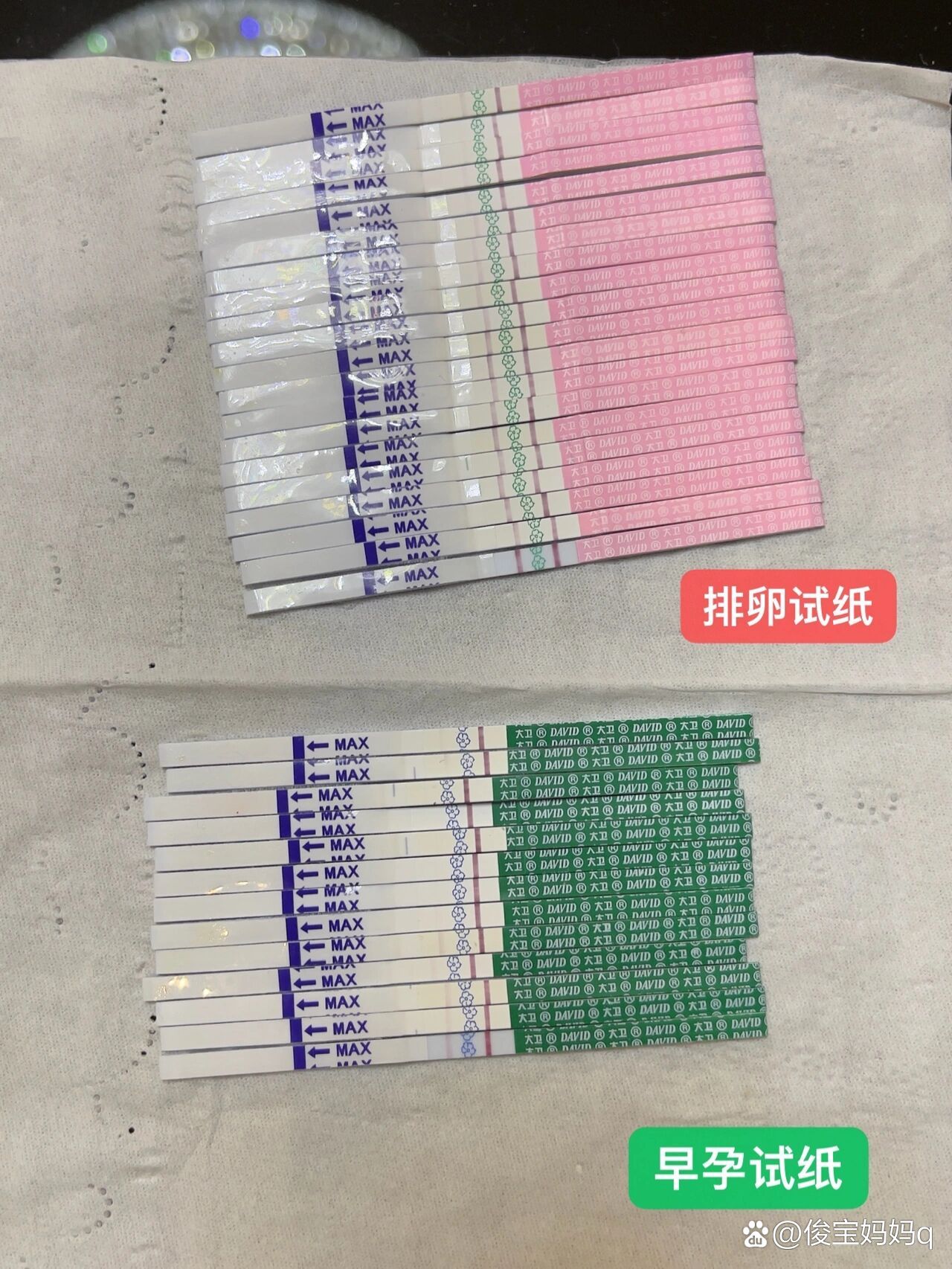 25号鲜胚移植